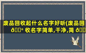 废品回收起什么名字好听(废品回 💮 收名字简单,干净,简 🐧 约)